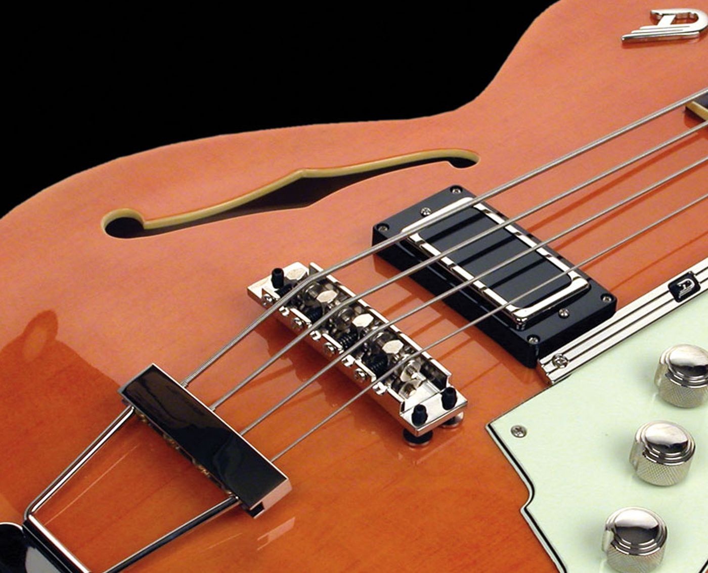 Akustik- & E-Gitarren